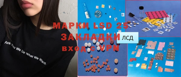 прущие грибы Козловка