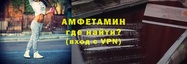 прущие грибы Козловка