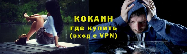 прущие грибы Козловка