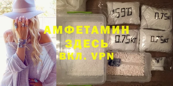 прущие грибы Козловка