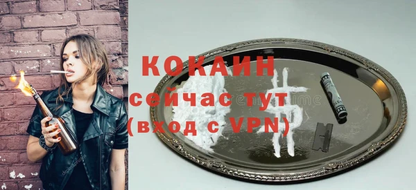 прущие грибы Козловка