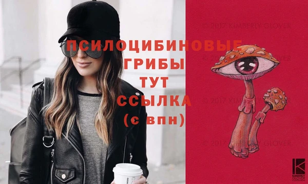 прущие грибы Козловка